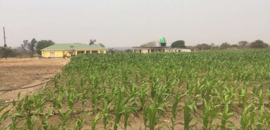 Farm in Chaminuka